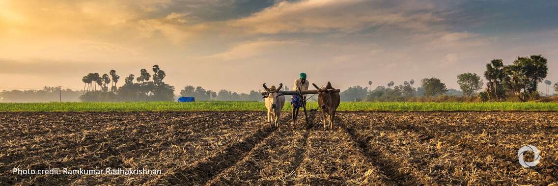 Odisha Government, WFP to bolster food security of small farmers by boosting climate resilience Odisha Government, WFP to bolster food security of small farmers by boosting climate resilience