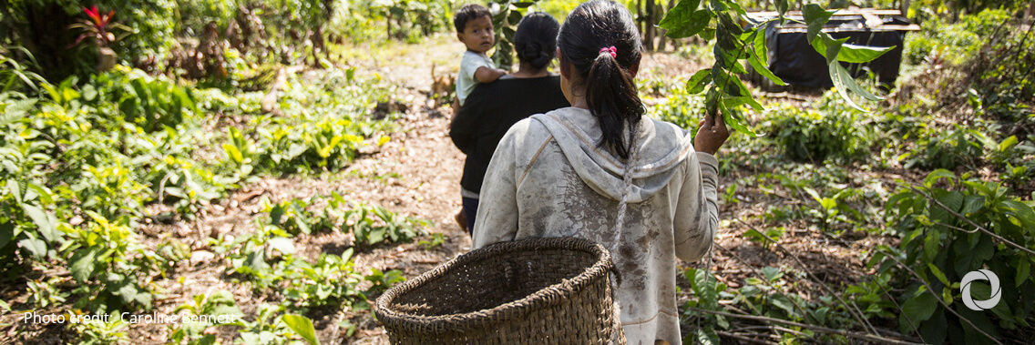 USDA invests $50 million in partnerships to improve equity in conservation programs, address climate change USDA invests $50 million in partnerships to improve equity in conservation programs, address climate change