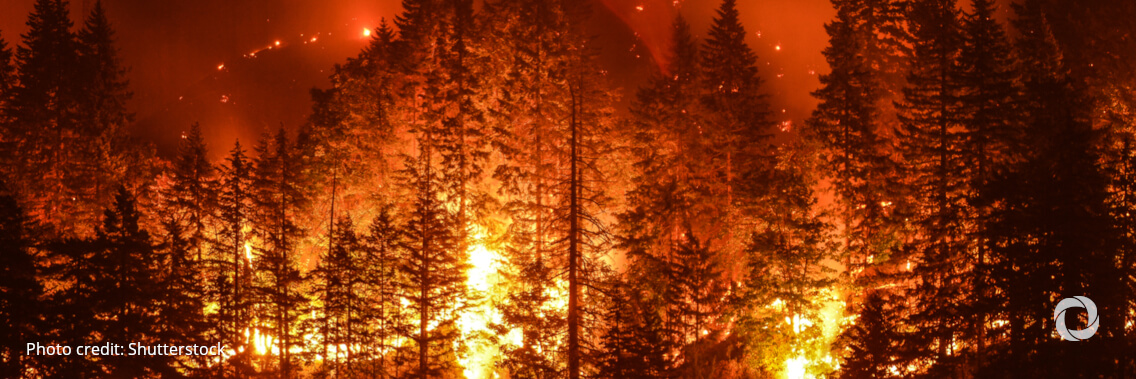 Global temperatures: costs continued to soar in 2021