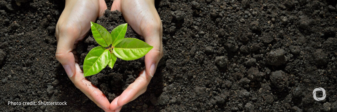 2022: Emergency mode for the environment 2022: Emergency mode for the environment