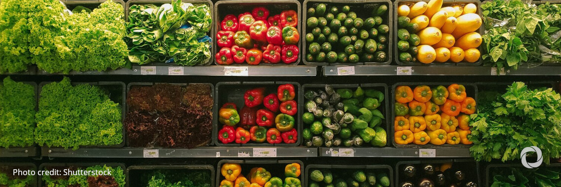 Global food prices dip in December
