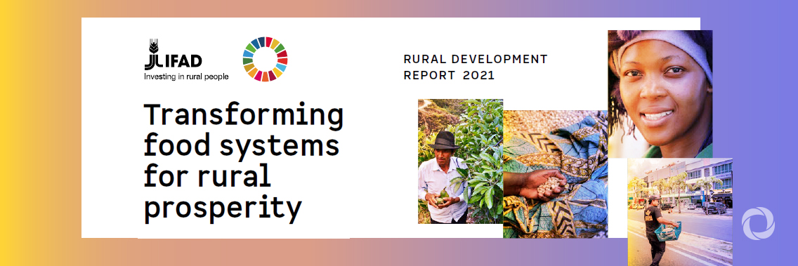 IFAD’s Rural Development Report launched in China - advocating for transforming food systems for rural prosperity IFAD’s Rural Development Report launched in China - advocating for transforming food systems for rural prosperity