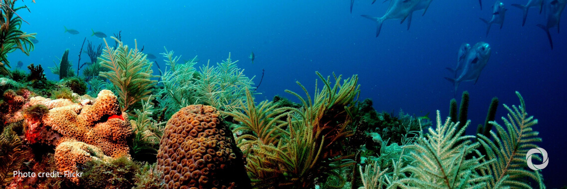 ADB calls for innovative financing for ocean health improvement ADB calls for innovative financing for ocean health improvement