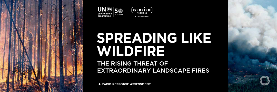 Number of wildfires to rise by 50% by 2100 and governments are not prepared, experts warn Number of wildfires to rise by 50% by 2100 and governments are not prepared, experts warn
