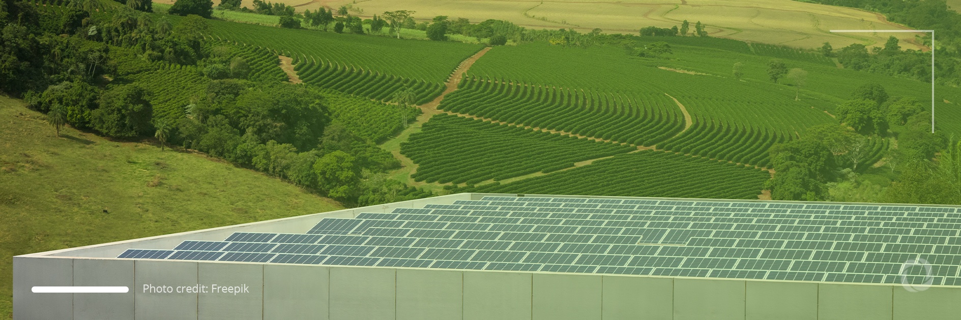 China’s environmental policy gives rise to criticism and achievements