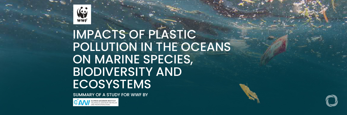 Ocean Plastic Pollution To Quadruple By 2050 Developmentaid