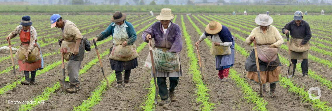 IFAD project to develop technological solutions to help smallholder farmers overcome COVID-19 impact in Latin America and the Caribbean IFAD project to develop technological solutions to help smallholder farmers overcome COVID-19 impact in Latin America and the Caribbean