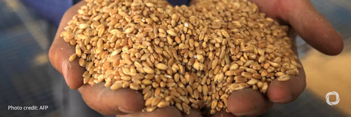 APEC to strengthen food security, safeguard the environment APEC to strengthen food security, safeguard the environment