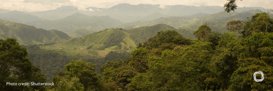 The World Bank approves a US$ 700 million loan to promote Ecuador’s green, resilient economic recovery