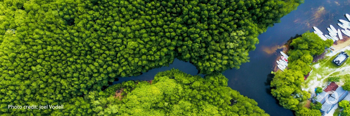 $150 million ADB loan to support green recovery, catalyze financing toward SDGs in Indonesia