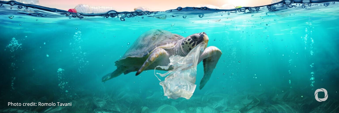 Tourism leaders call for urgent action to protect the oceans
