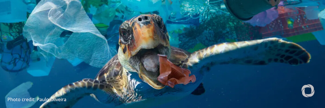 The Clean Oceans Initiative doubles its commitment to provide €4 billion by 2025 to protect the oceans The Clean Oceans Initiative doubles its commitment to provide €4 billion by 2025 to protect the oceans
