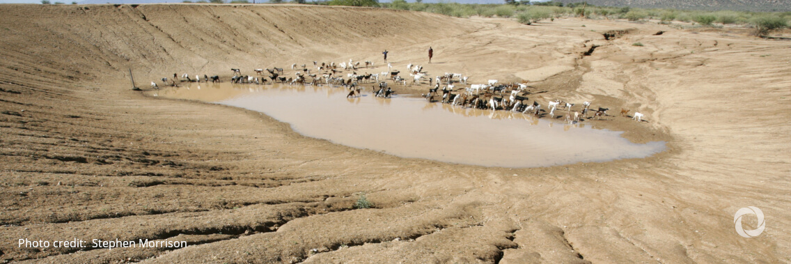 Prolonged drought pushing families in Ethiopia to the brink