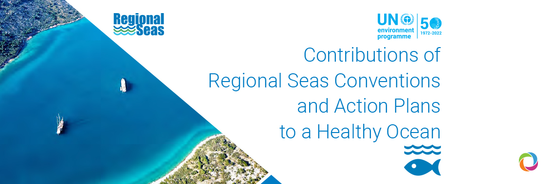 Regional policies a critical linchpin for marine protection – new report Regional policies a critical linchpin for marine protection – new report