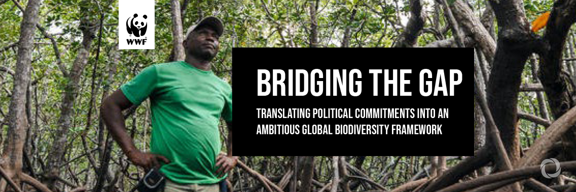 Governments collectively failing on nature pledges, finds new WWF report Governments collectively failing on nature pledges, finds new WWF report
