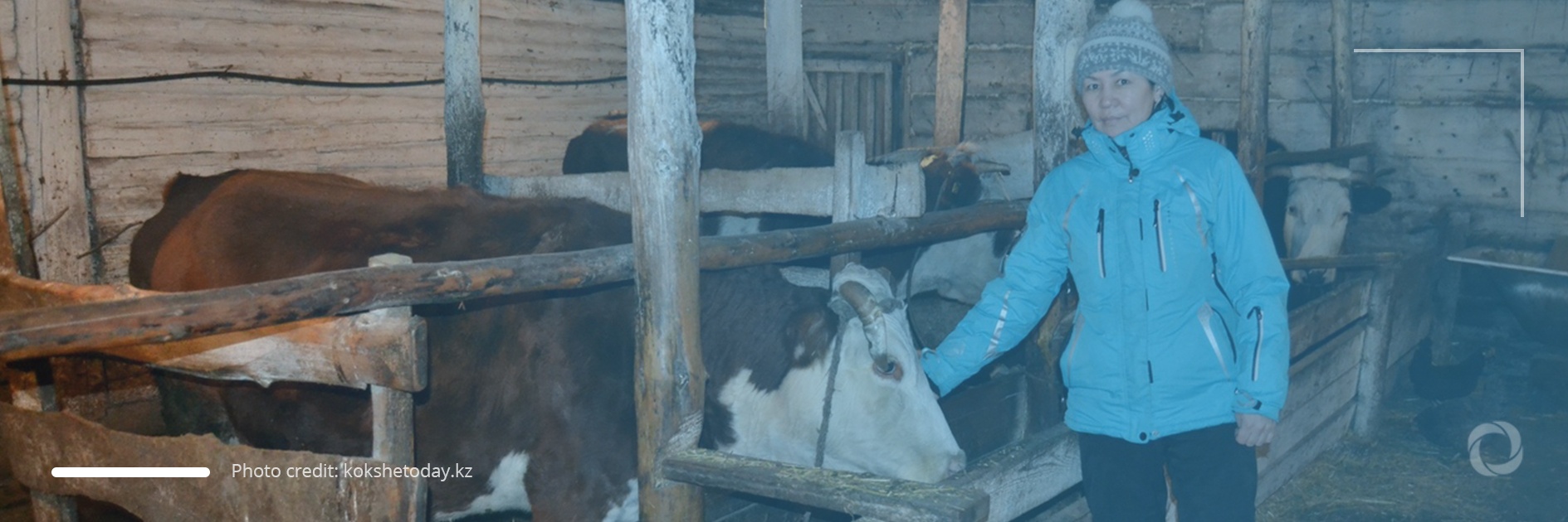 ‘Cow on a balcony’ – a business opportunity for women in rural Kazakhstan