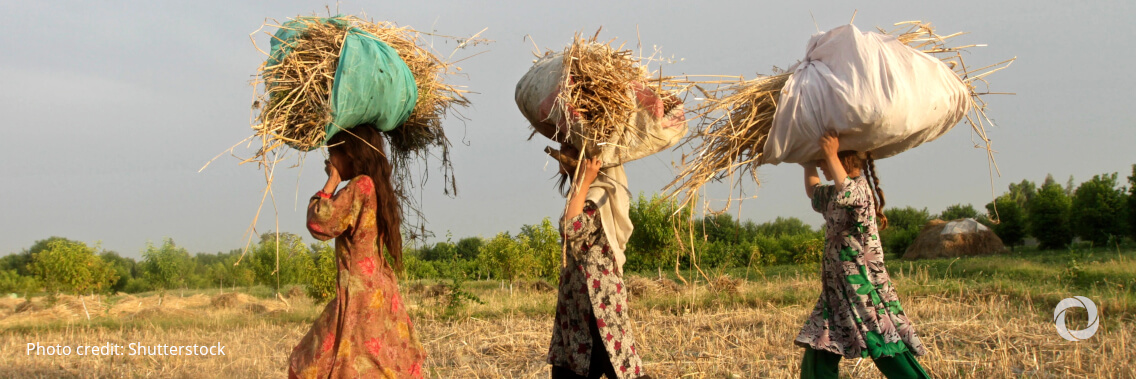 UNDP and Islamic Relief announce new US$22M partnership to support local economy in Afghanistan