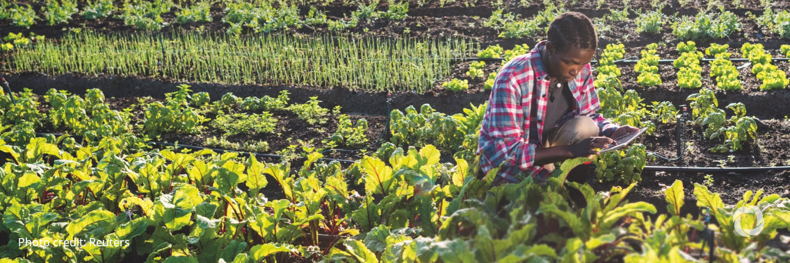 The climate crisis and hunger