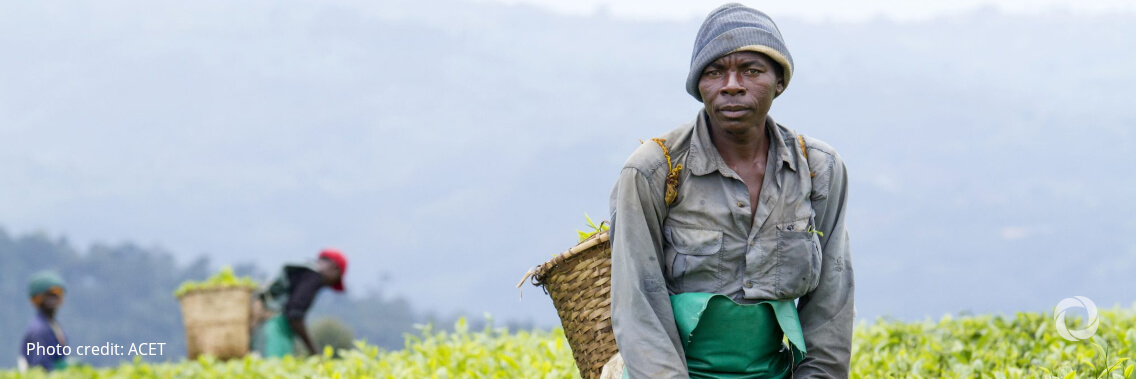 Norway puts small-scale agriculture at the center of its fight against hunger and poverty with increased funding to IFAD