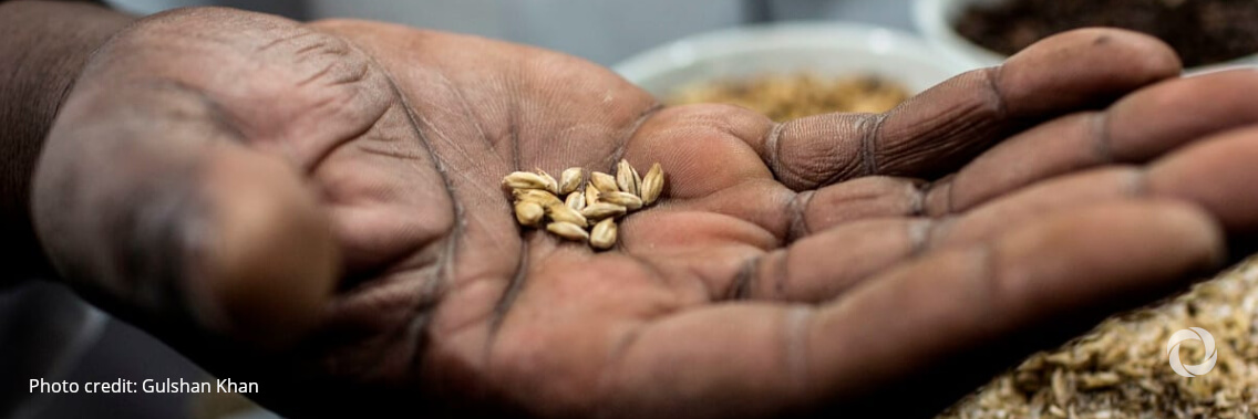 As many as 28 million people across East Africa at risk of extreme hunger if rains fail again