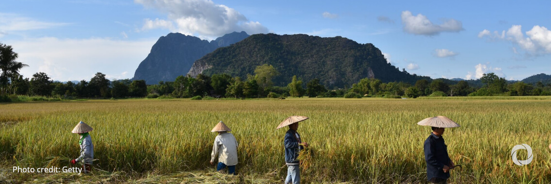 ADB invests in tropical Asia forest fund to promote sustainable forestry, enhance biodiversity ADB invests in tropical Asia forest fund to promote sustainable forestry, enhance biodiversity