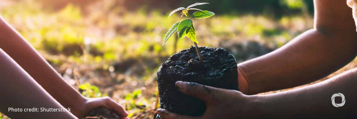 Finland publishes its plan for international climate finance: nearly twofold increase in funding Finland publishes its plan for international climate finance: nearly twofold increase in funding