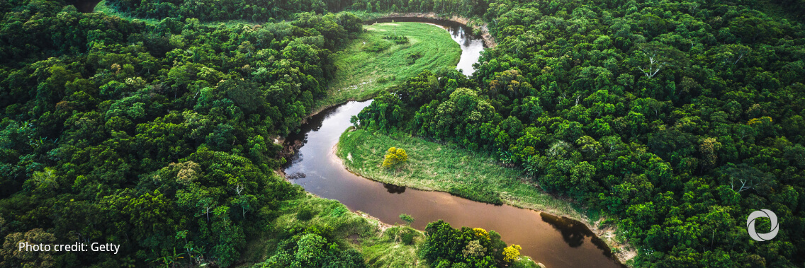 Time for ‘tangible and credible’ forest management, says UN chief Time for ‘tangible and credible’ forest management, says UN chief
