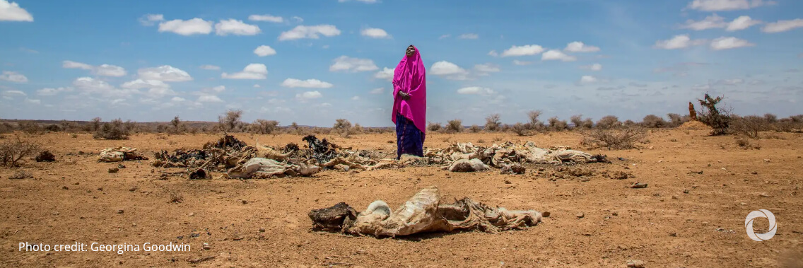 As impact of drought worsens, growing risk of famine in Somalia