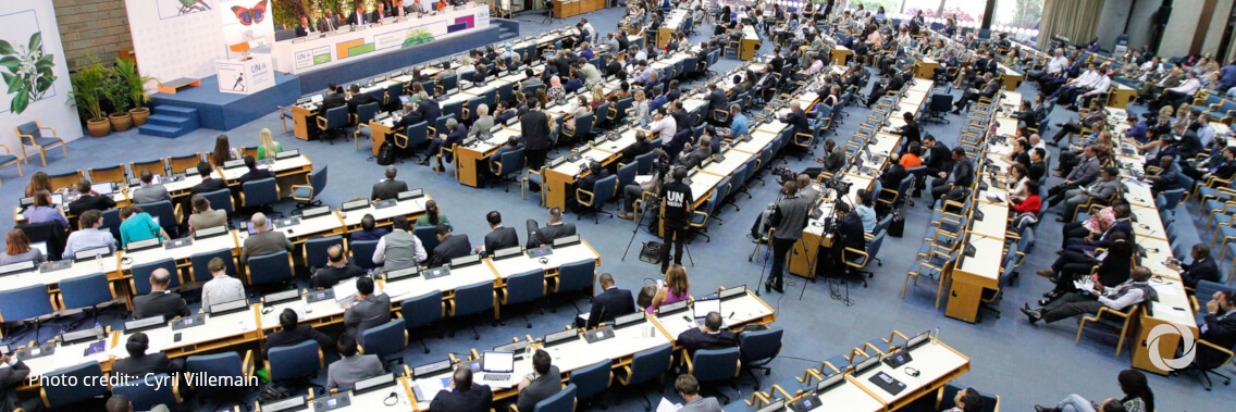 Heads of State affirm commitment to environmental cooperation at UNEP golden jubilee celebration Heads of State affirm commitment to environmental cooperation at UNEP golden jubilee celebration