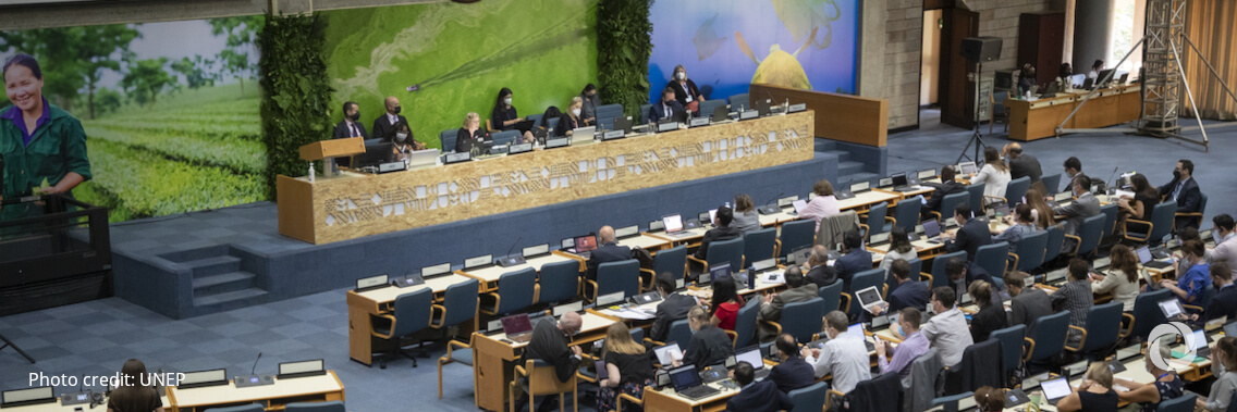 UN Environment Assembly opens with all eyes on a global agreement on plastic pollution UN Environment Assembly opens with all eyes on a global agreement on plastic pollution