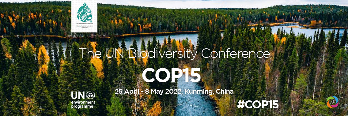 UN Biodiversity Conference (COP 15)