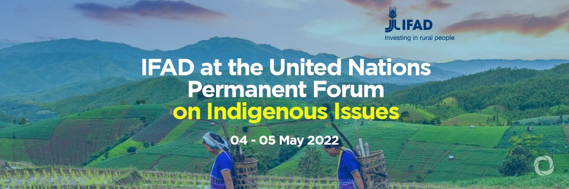 IFAD at the United Nations Permanent Forum on Indigenous Issues