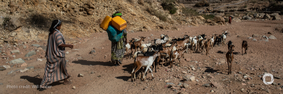 Donors pledge close to $1.4 billion for Horn of Africa drought response Donors pledge close to $1.4 billion for Horn of Africa drought response