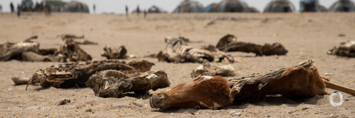 No rain and no resources; millions of families across the horn of Africa pushed closer to catastrophe each day No rain and no resources; millions of families across the horn of Africa pushed closer to catastrophe each day