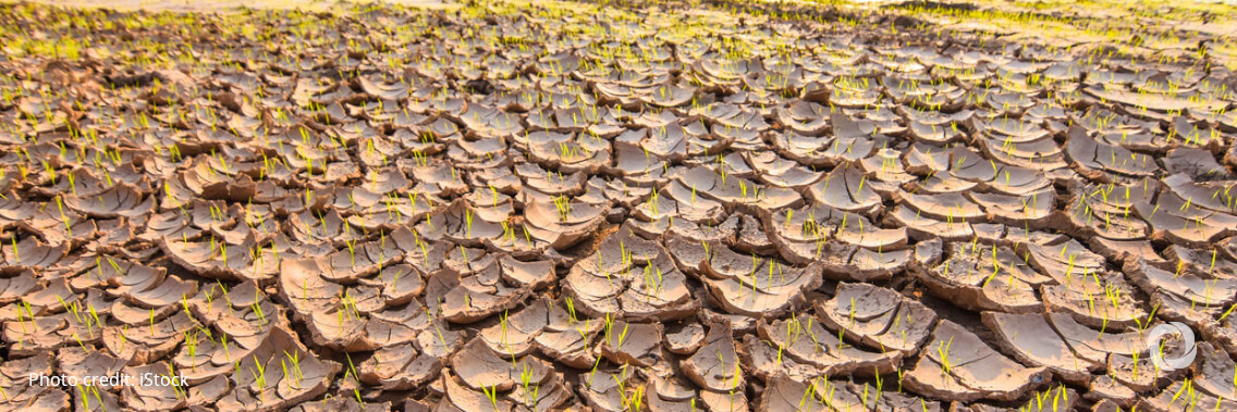 NGOs warn of possible famine in Somalia as drought worsens, urgent action required