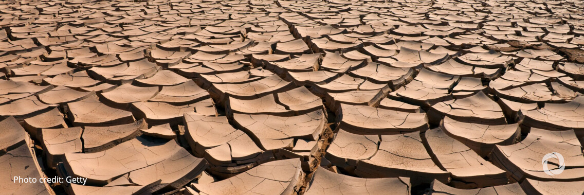 FAO-OCHA-UNICEF-WFP about the drought emergency in Somalia