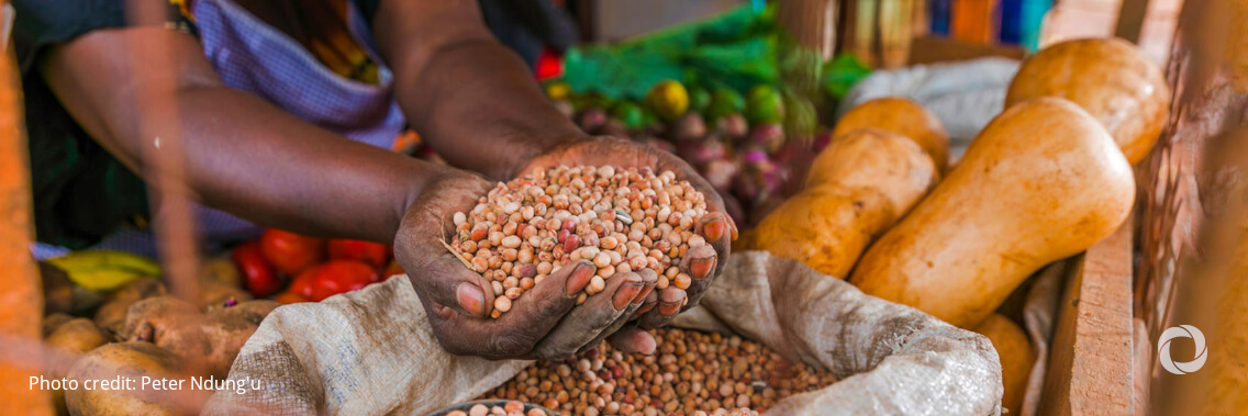 Food crisis: the EU takes action to support Africa's Sahel and Lake Chad regions