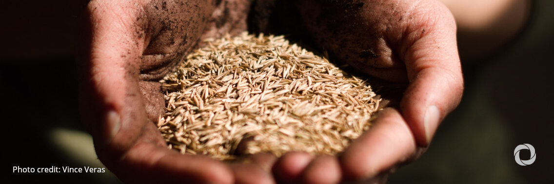 Ukraine crisis: the world can still contain the impact on global food security with the right policies, FAO Director-General says
