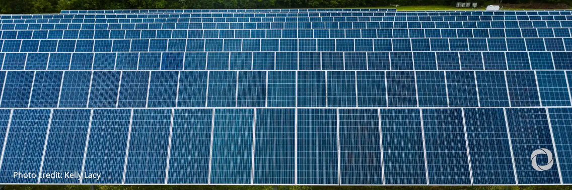 Green financing and private sector can support Uzbekistan’s transition to a green economy