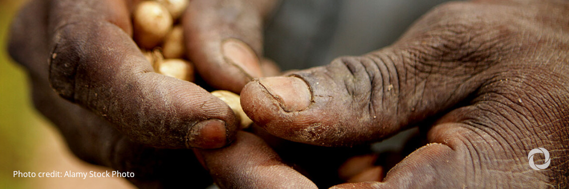 IMF must abandon demands for austerity as cost-of-living crisis drives up hunger and poverty worldwide IMF must abandon demands for austerity as cost-of-living crisis drives up hunger and poverty worldwide