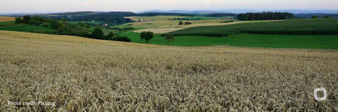 UNEP launches new sustainable land use finance impact directory UNEP launches new sustainable land use finance impact directory