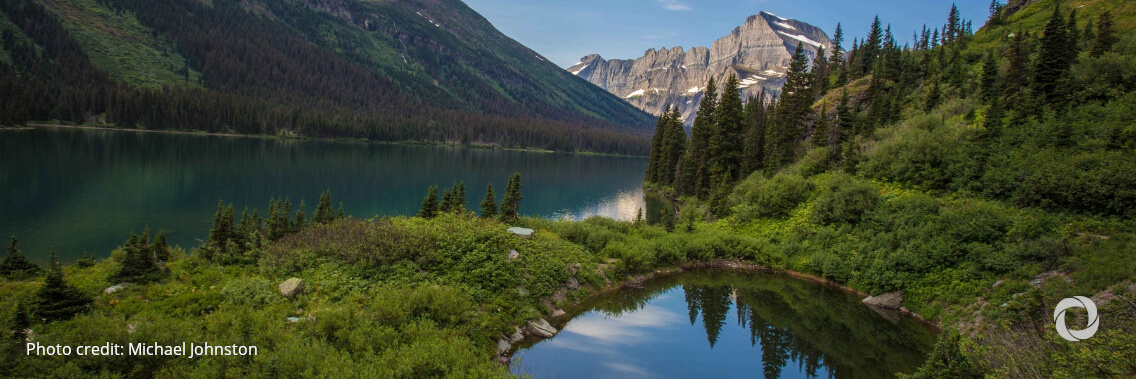 USDA forest service invest more than $31 million in 15 landscape restoration projects USDA forest service invest more than $31 million in 15 landscape restoration projects