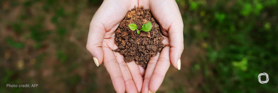 40 projects willing to advance the restoration of soil health in Europe 40 projects willing to advance the restoration of soil health in Europe