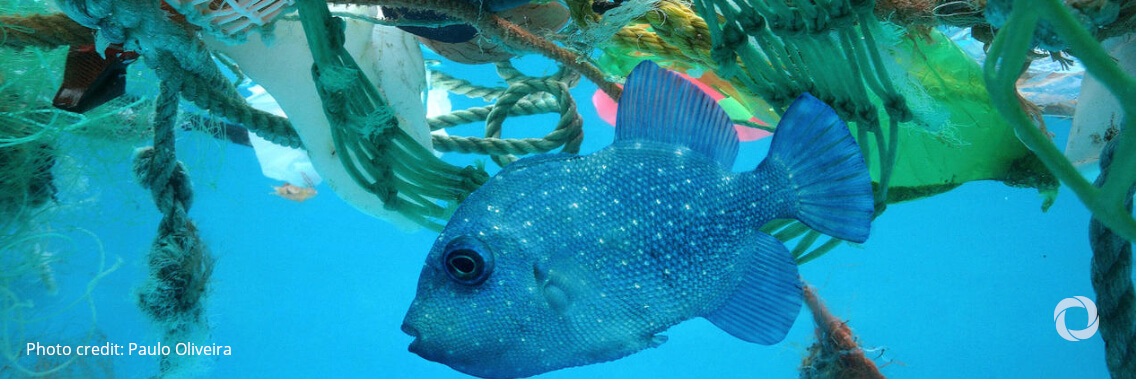 Green Deal: EU announces €1 billion worth of commitments to protect the ocean Green Deal: EU announces €1 billion worth of commitments to protect the ocean