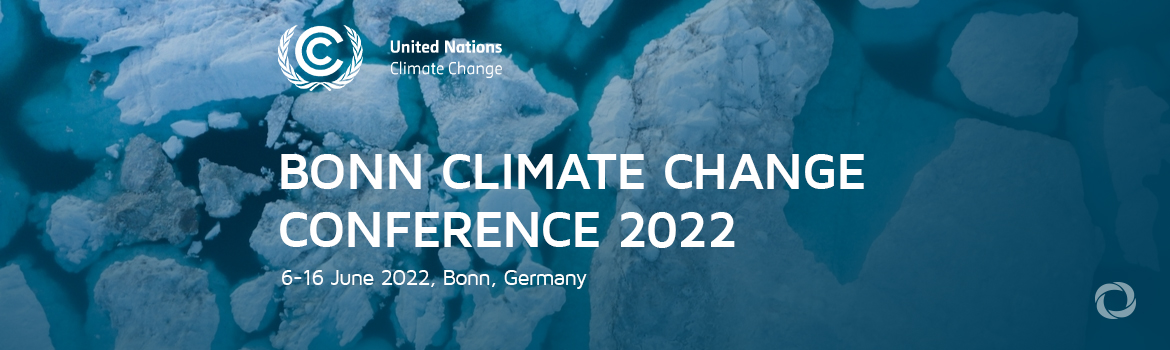 Bonn Climate Change Conference 2022