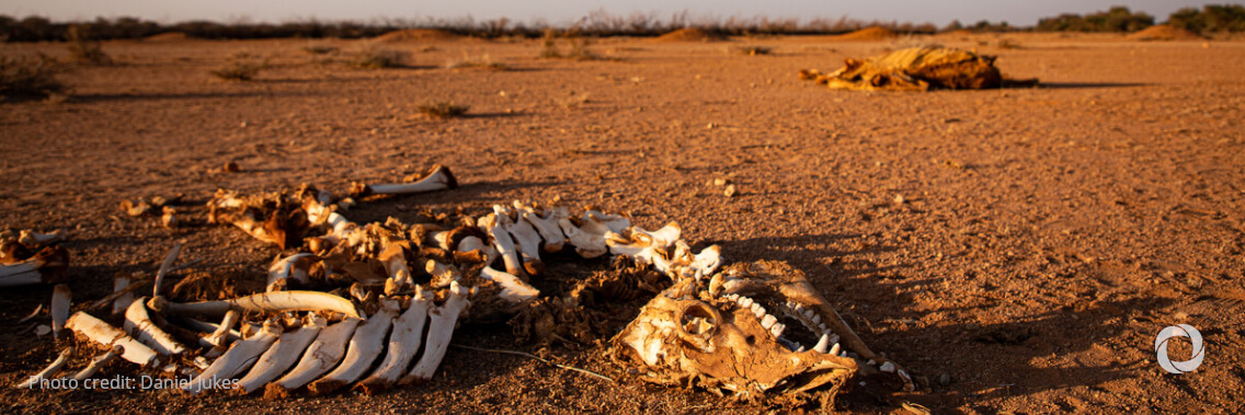 Burkina Faso: Over a quarter million people victims of new “water war” in peak dry season Burkina Faso: Over a quarter million people victims of new “water war” in peak dry season
