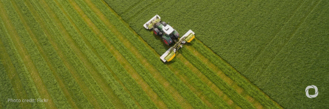 Digital technologies: key accelerator of agrifood systems transformation and rural development