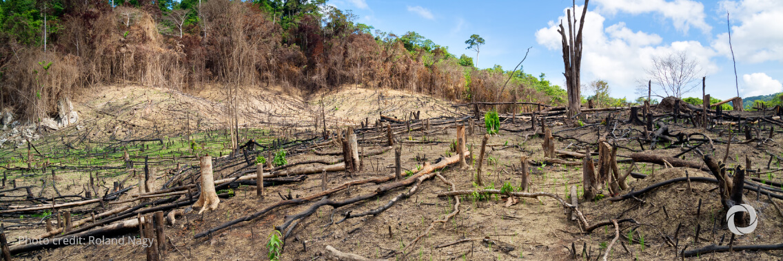 COP15: WFP experts available for interviews on desertification, rising global hunger and large-scale solutions COP15: WFP experts available for interviews on desertification, rising global hunger and large-scale solutions