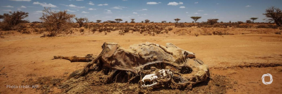 Over 400,000 children risk dropping out of school due to drought in Somalia