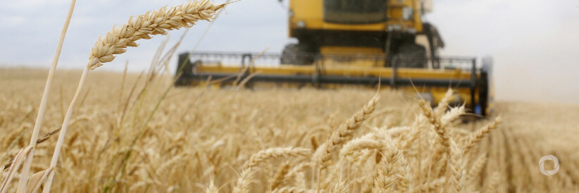 Conflict in Ukraine highlights the urgent need to build resilient food systems with people at their heart - says WFP at COP15 Conflict in Ukraine highlights the urgent need to build resilient food systems with people at their heart - says WFP at COP15